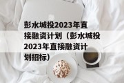 彭水城投2023年直接融资计划（彭水城投2023年直接融资计划招标）