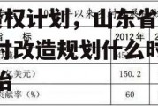 山东新农村建设2022债权计划，山东省新农村改造规划什么时候开始