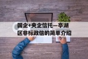 国企+央企信托—亭湖区非标政信的简单介绍