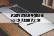 武汉阳逻经济开发区建设开发债权融资计划