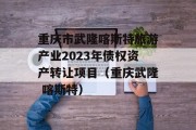 重庆市武隆喀斯特旅游产业2023年债权资产转让项目（重庆武隆 喀斯特）