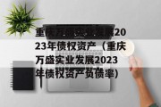 重庆万盛实业发展2023年债权资产（重庆万盛实业发展2023年债权资产负债率）