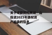 关于成都简阳两湖一山投资2023年债权资产拍卖的信息