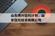 山东博兴信托计划，山东信托投资有限公司