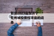 包含2023山东济宁兖州城投债权项目的词条