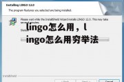 lingo怎么用，lingo怎么用穷举法