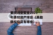 重庆鸿业实业2023年债权资产项目（其他债权投资有哪些）