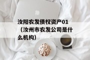 汝阳农发债权资产01（汝州市农发公司是什么机构）