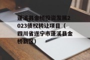 蓬溪县金桥投资发展2023债权转让项目（四川省遂宁市蓬溪县金桥新区）