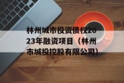 林州城市投资债权2023年融资项目（林州市城投控股有限公司）