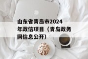 山东省青岛市2024年政信项目（青岛政务网信息公开）