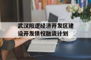 武汉阳逻经济开发区建设开发债权融资计划