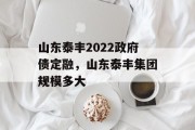 山东泰丰2022政府债定融，山东泰丰集团规模多大