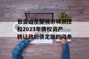 包含山东邹城市城资控股2023年债权资产转让政府债定融的词条