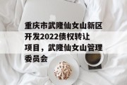 重庆市武隆仙女山新区开发2022债权转让项目，武隆仙女山管理委员会