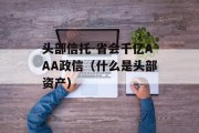 头部信托-省会千亿AAA政信（什么是头部资产）