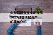 山东蒜都金乡土地发展2023政信债权资产的简单介绍