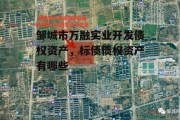 邹城市万融实业开发债权资产，标债债权资产有哪些