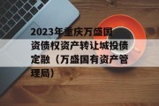 2023年重庆万盛国资债权资产转让城投债定融（万盛国有资产管理局）