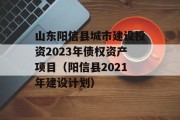 山东阳信县城市建设投资2023年债权资产项目（阳信县2021年建设计划）