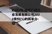 红码9号-遂宁广利工业发展有限公司2022债权(5)的简单介绍