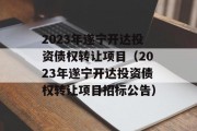 2023年遂宁开达投资债权转让项目（2023年遂宁开达投资债权转让项目招标公告）