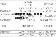 国电南自股票，国电南自股票股吧