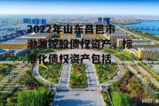 2022年山东昌邑市渤潍控股债权资产，标准化债权资产包括