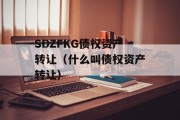 SDZFKG债权资产转让（什么叫债权资产转让）