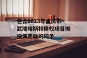 包含2023年重庆市武隆喀斯特债权项目城投债定融的词条