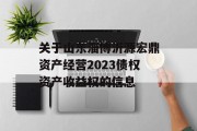 关于山东淄博沂源宏鼎资产经营2023债权资产收益权的信息