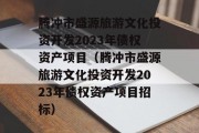 腾冲市盛源旅游文化投资开发2023年债权资产项目（腾冲市盛源旅游文化投资开发2023年债权资产项目招标）