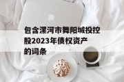 包含漯河市舞阳城投控股2023年债权资产的词条