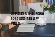 关于蒜都金乡土地发展2023政信债权资产的信息