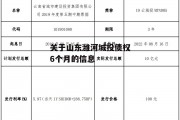 关于山东潍河城投债权6个月的信息