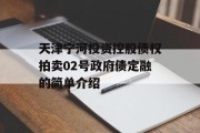 天津宁河投资控股债权拍卖02号政府债定融的简单介绍