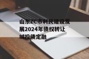 山东ZC市利民建设发展2024年债权转让城投债定融