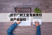 遂宁广利工业发展债权资产收益权