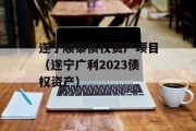 遂宁顺泰债权资产项目（遂宁广利2023债权资产）