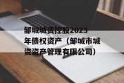 邹城城资控股2023年债权资产（邹城市城资资产管理有限公司）