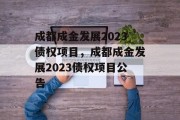 成都成金发展2023债权项目，成都成金发展2023债权项目公告