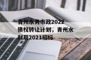 青州水务市政2022债权转让计划，青州水利局2021招标