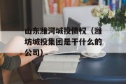 山东潍河城投债权（潍坊城投集团是干什么的公司）