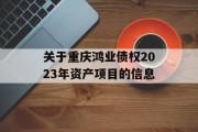 关于重庆鸿业债权2023年资产项目的信息