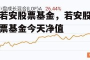 若安股票基金，若安股票基金今天净值