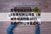 邹城市城资控股2023年债权转让项目（邹城市城资控股2023年债权转让项目招标）