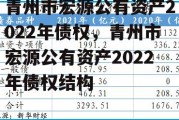 青州市宏源公有资产2022年债权，青州市宏源公有资产2022年债权结构