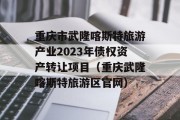 重庆市武隆喀斯特旅游产业2023年债权资产转让项目（重庆武隆喀斯特旅游区官网）