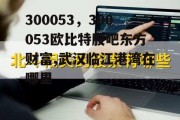 300053，300053欧比特股吧东方财富,武汉临江港湾在哪里