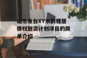 山东鱼台XY水韵雅居债权融资计划项目的简单介绍